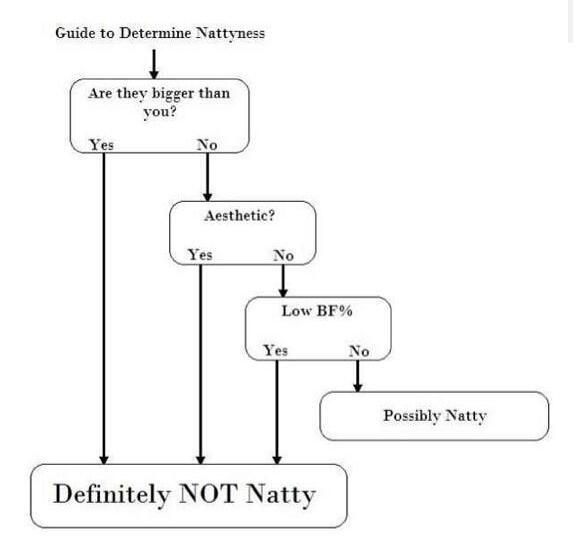 Natty-Chart